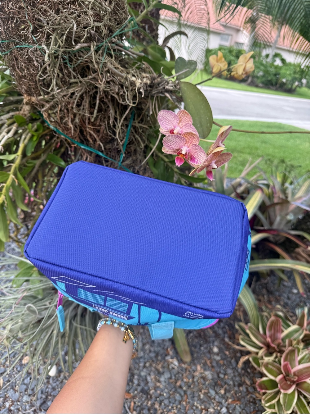 NWT | Trader Joe's Mini Insulated Bag in Turquoise & Pink - Picture 4 of 6